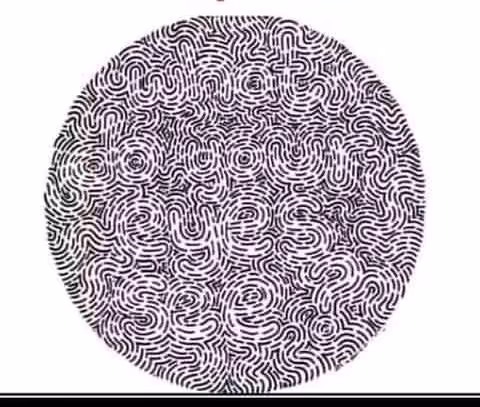 38571425773178522087219662626132875200198879504018046601852492515994519994369