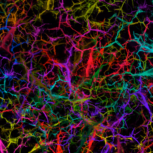 Item #50918555062582210159273167721725581522404743190091886750106034853106795151361 Media