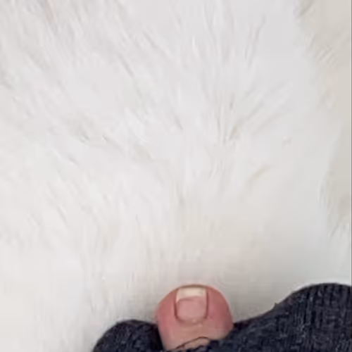 Finger Collection V2