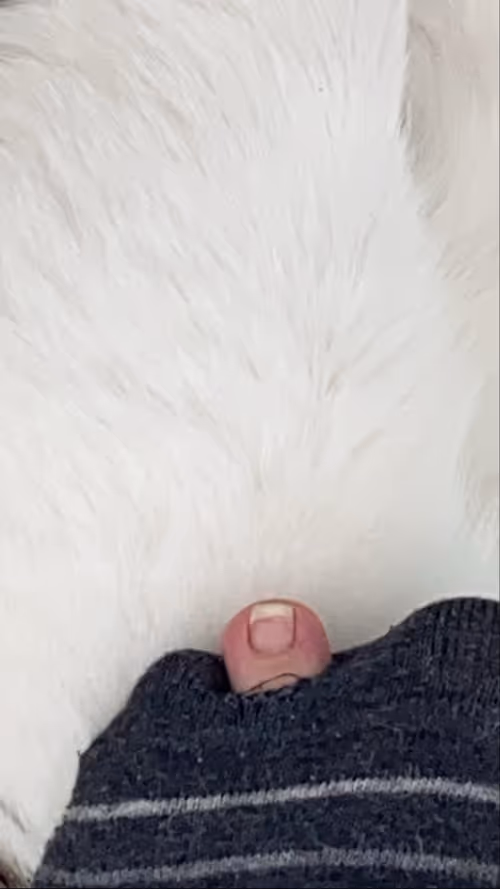 Item #16911576681755453291086130378726692495640382789429349980576694776890518405121 Media