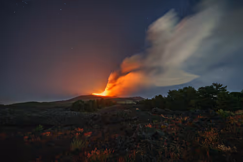 Item #29665505459776512063151611391641042533234332755845632920050768270758697238529 Media