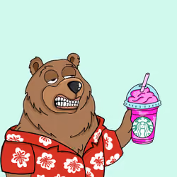 Bonga cha