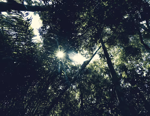 Item #89534767864189409759149289902854589290049620081388953356562923097318041321473 Media