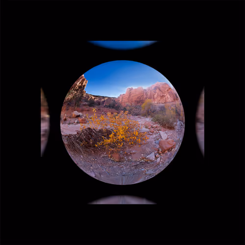 Item #79686203152266121205828546412768747046883568700953071774842845404947353174017 Media