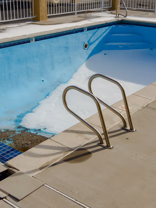 Item #77612435889549989959633814934000977317248207544468655990569008371994881687553 Media