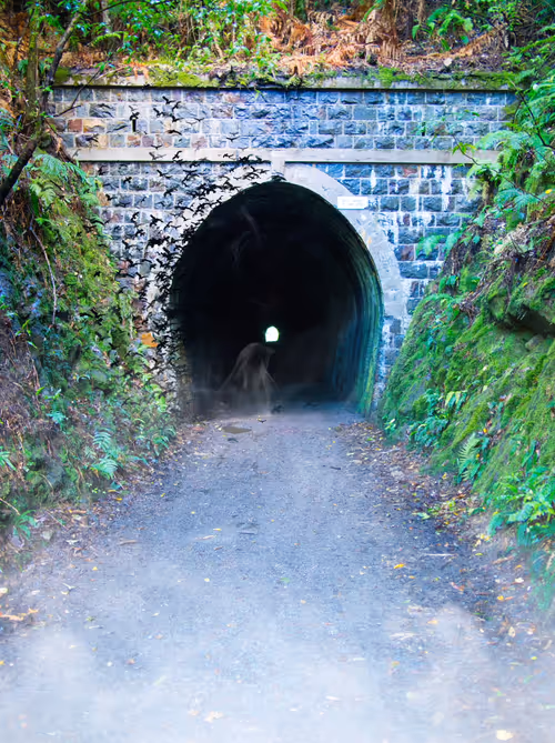 Item #42005270844264954442005096859517419770807969244416947009835700227818209148929 Media