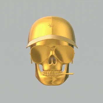 SKuLL GOLD STATUS D - 3D