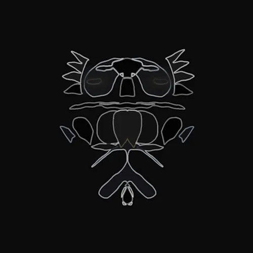 Item #1185345092010733168974859005131610861118706916154935797328433069729414905857 Media