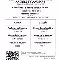 The First Mexican Certificate of Vaccination COVID-19 made NFT