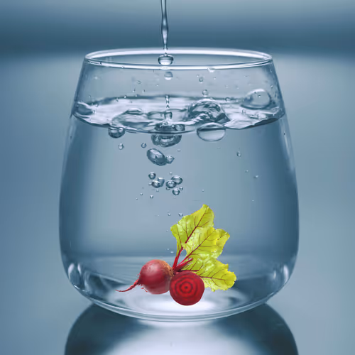 Item #25350083611604470530281593362228819369712463321341820751446110000027902410753 Media