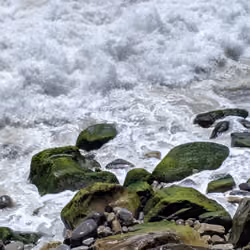 Pacific Rocks