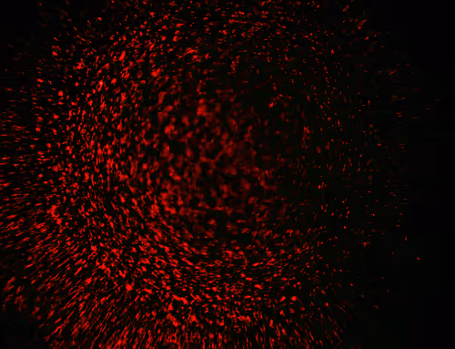 Item #71646257518770613568983710813551014237803002136866425209291834005403354529793 Media