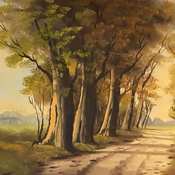 Allée des arbres