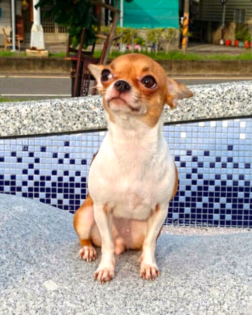 Item #15302775719274355672256911249162138837258661550744590229590932618481225433089 Media