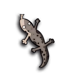 Lizard ID 49