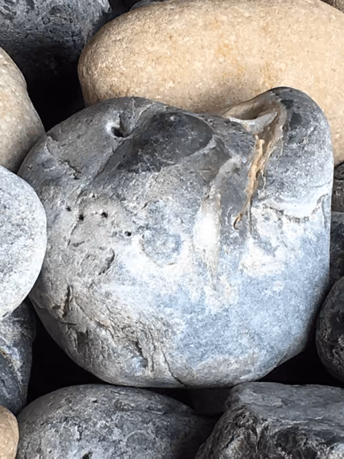 Item #21058230940437742586650391575338221932342665194758349150916503879870983438337 Media