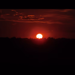 Delighted Sunset