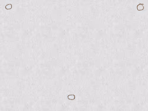 Item #95487792763470794020886464544370756248807875948826141712558328799729817747457 Media