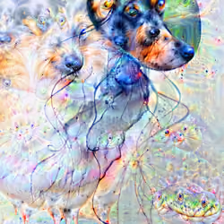 DD Jelli 5