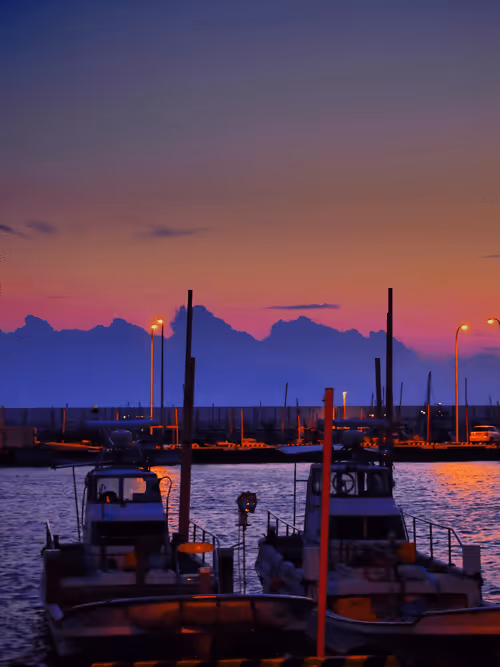 Item #20204709267348757771630976275422763680184380417217004683909412382746305626113 Media