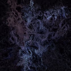 Vortex #1188