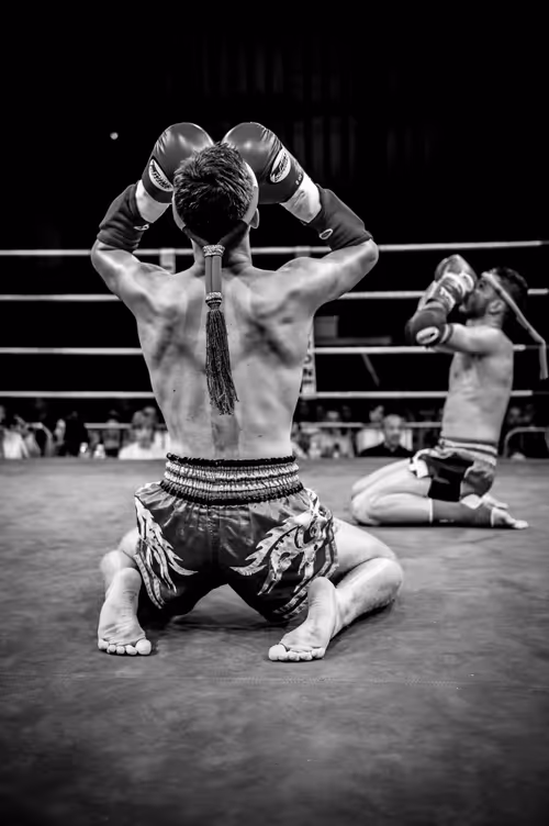 Item #7851364954592768897068665228163969148149524878586119406958365956863684509697 Media