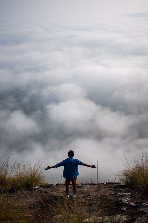 Item #36145732516804139016380361544373269319947941032678267894410350697373113516033 Media