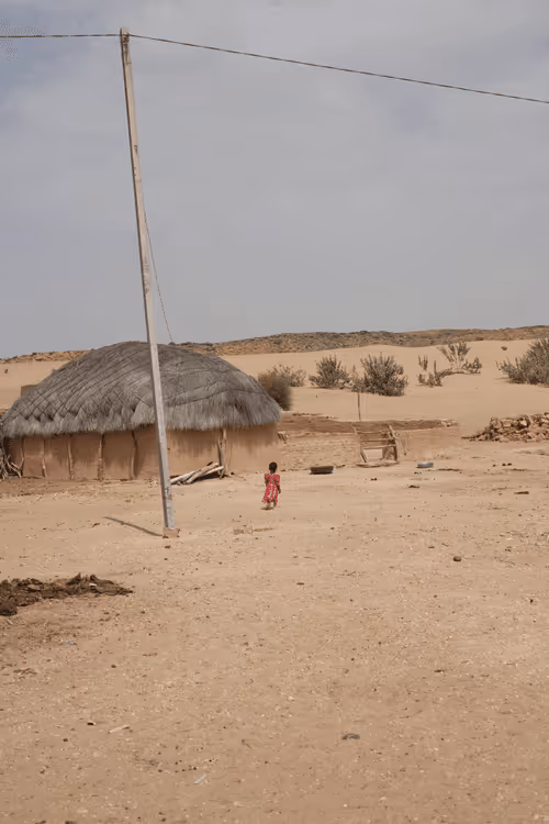 Item #36486330599558234192948007262260679931493432277950452627377023247600469409793 Media