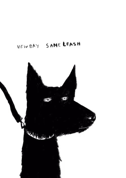 Item #38010463944431775768590679801533282165670495467685482337576640876614437044225 Media