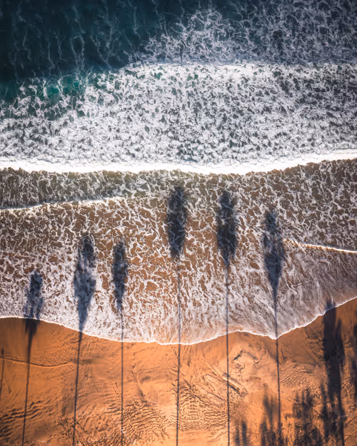 Item #104903103647378750346331157593817970478095546914968786711223283859206732513281 Media