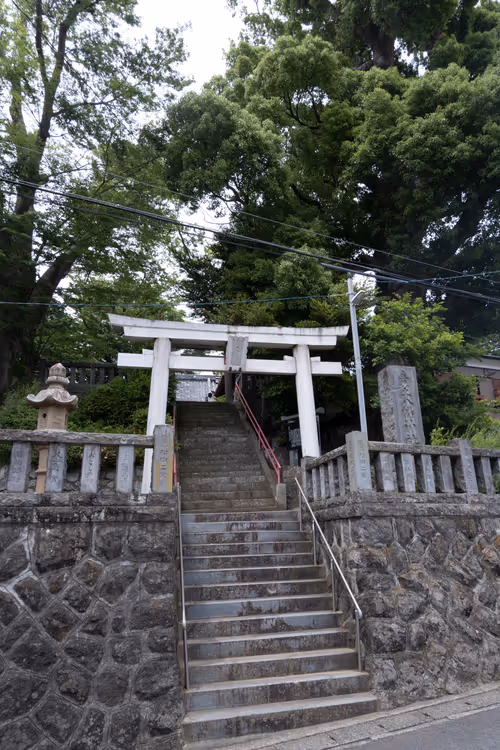 Item #71165997854143450093372358757960361854753460918996014251035868996197119164417 Media