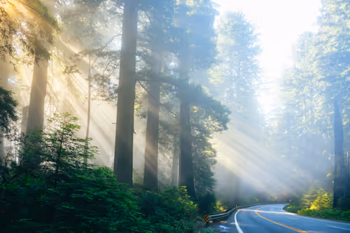 Item #99379921276153973634104125152908526548510783699959858376338453576603616149505 Media