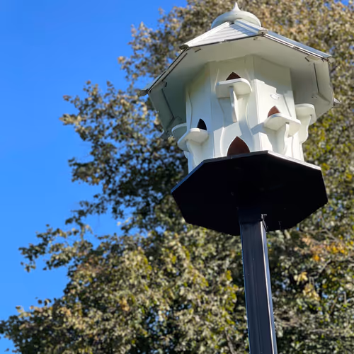 0xMarcVincer Collection - old