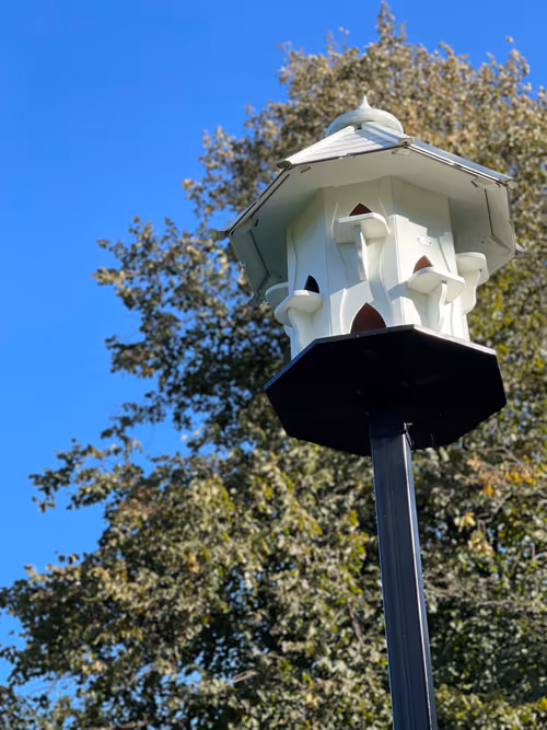 Item #51594980844106754337261152052467754188994001719849277279249797357501071491073 Media