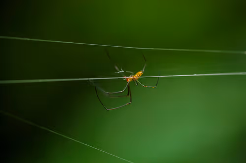 Item #15286439154353413258560728673590493507949724092509999987352070328513028161537 Media