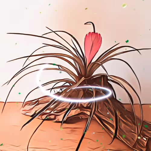 Item #8607677958191038044004830040679912821884152676576415147527513014570181459969 Media