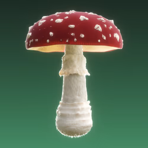 Item #95653877050150474555742155054455970472164202465768371638498213970086555811841 Media