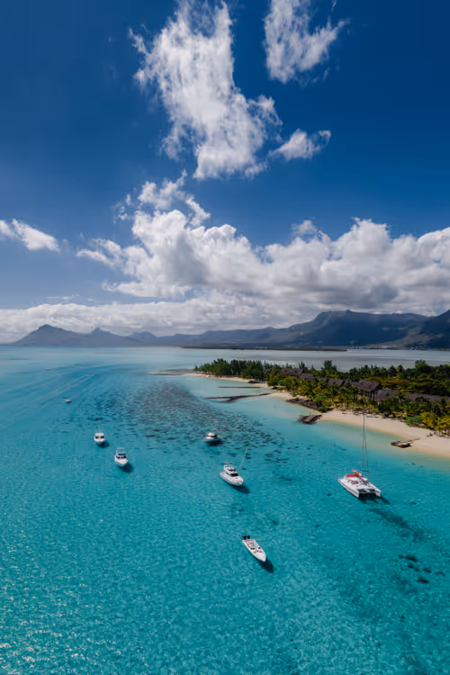 Item #64892573542216553225063327700336004171019867697641980949815581363510446129153 Media