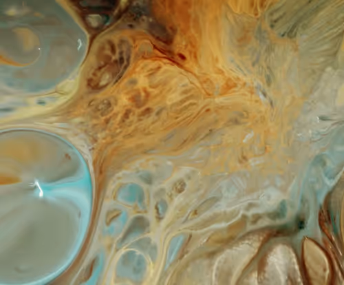 Item #24074810528421772514233601070827590066402087809941770395158208973621910568961 Media