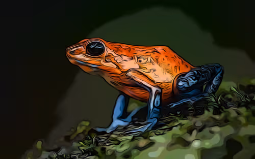 Item #29264666619168010317647881047170433350762654908464135976635272405395773063169 Media