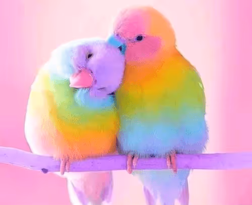 Untitled Collection #72890048 - old