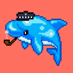 Dolphin Punk #3