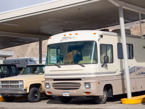 Item #77612435889549989959633814934000977317248207544468655990569008353303184015361 Media