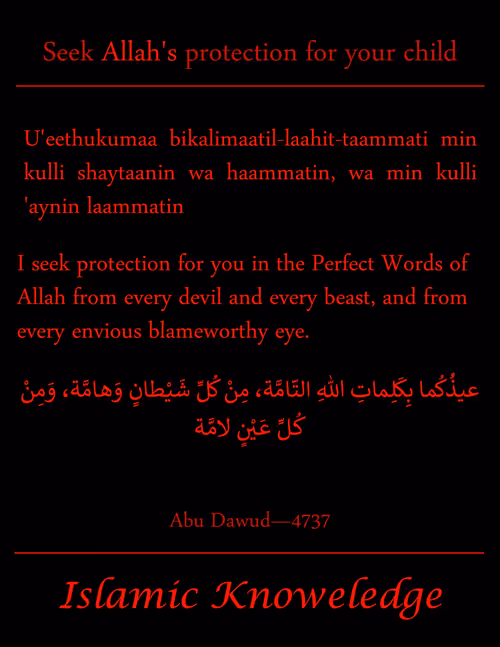 Item #34085441569699423005310991372941828806155687762378495952169943254950429589505 Media