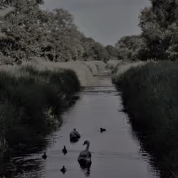 16:34
