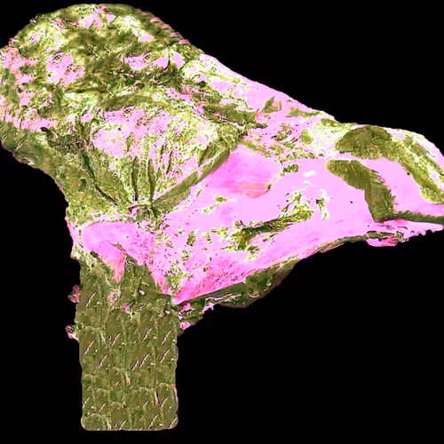 18063966590187803564983313972252836895288362682890717819958697142802301583361