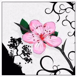 Plum flower