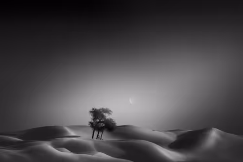 Item #108814857691029429230781820568210235490063919231059486623727012651977182019585 Media