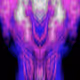 9002866377728063957717454184041890250576077464233112503395223355928963186689