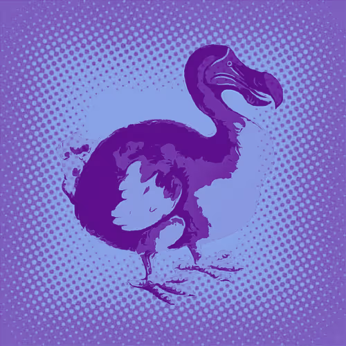 Item #17635803375648012338610213380030160191715370757553255260744606439296066387969 Media